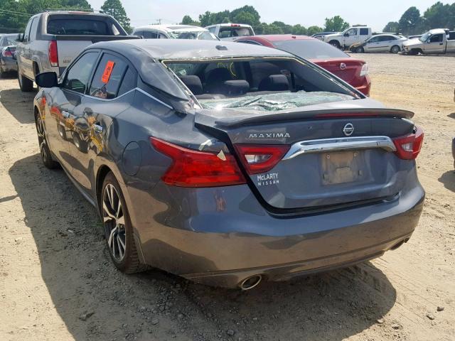 1N4AA6AP4HC385580 - 2017 NISSAN MAXIMA 3.5 GRAY photo 3