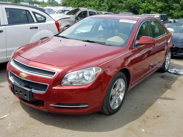 1G1ZC5E17BF212836 - 2011 CHEVROLET MALIBU 1LT 勃艮第红 照片 2