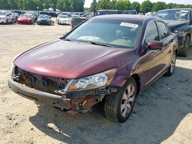 1HGCP26879A088684 - 2009 HONDA ACCORD EXL BURGUNDY photo 2