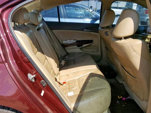 1HGCP26879A088684 - 2009 HONDA ACCORD EXL BURGUNDY photo 6