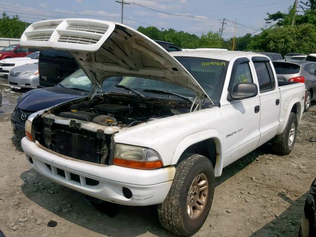 1B7HG38N42S659481 - 2002 DODGE DAKOTA QUA WHITE photo 2