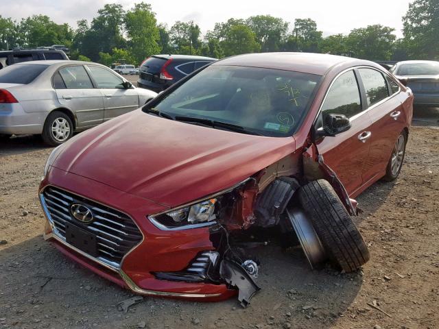 5NPE34AF0JH607494 - 2018 HYUNDAI SONATA SPO RED photo 2