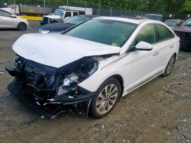 5NPE34AF2HH587257 - 2017 HYUNDAI SONATA SPO WHITE photo 2