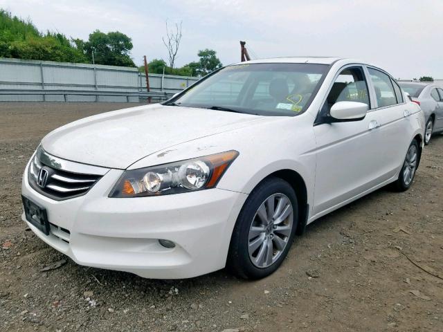 1HGCP3F86CA035388 - 2012 HONDA ACCORD EXL WHITE photo 2