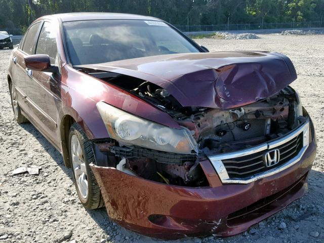 1HGCP36848A001764 - 2008 HONDA ACCORD EXL BURGUNDY photo 1