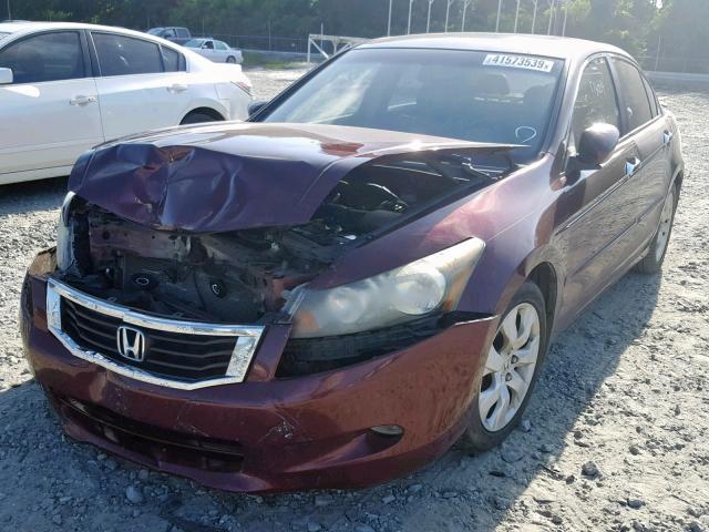 1HGCP36848A001764 - 2008 HONDA ACCORD EXL BURGUNDY photo 2