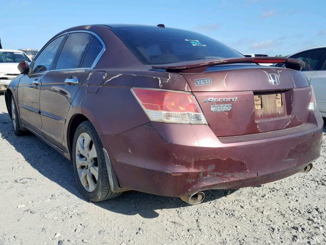 1HGCP36848A001764 - 2008 HONDA ACCORD EXL BURGUNDY photo 3