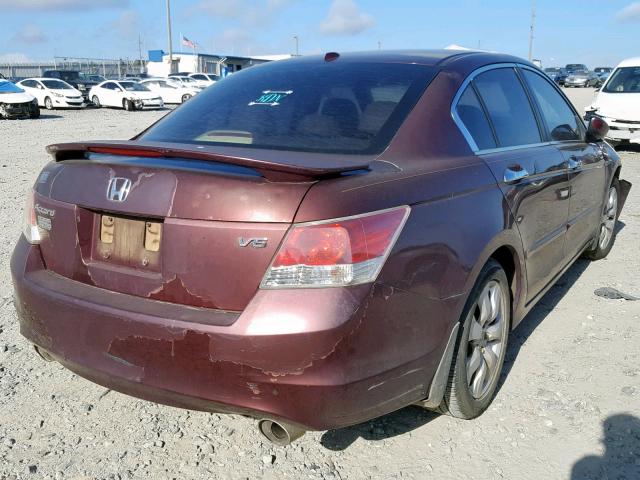 1HGCP36848A001764 - 2008 HONDA ACCORD EXL BURGUNDY photo 4