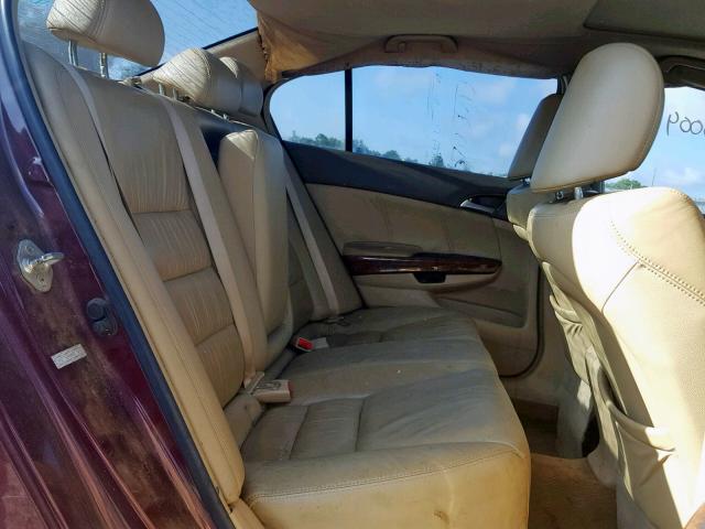 1HGCP36848A001764 - 2008 HONDA ACCORD EXL BURGUNDY photo 6