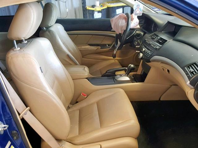 1HGCS12859A025453 - 2009 HONDA ACCORD EXL BLUE photo 5