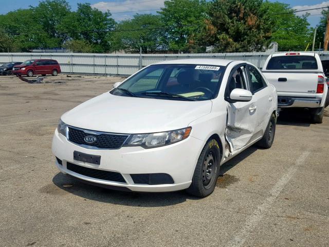 KNAFU4A24C5582713 - 2012 KIA FORTE EX WHITE photo 2