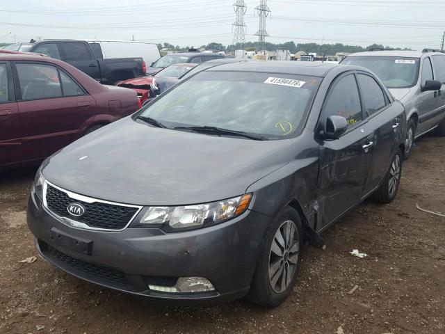 KNAFU4A26D5698559 - 2013 KIA FORTE EX GRAY photo 2