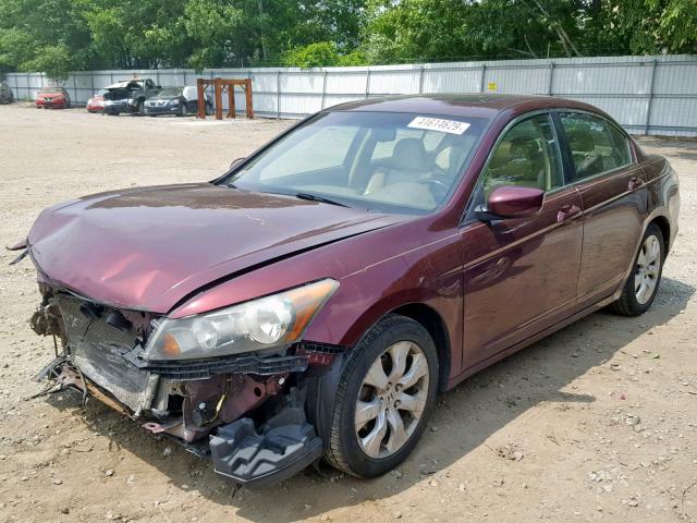 1HGCP2F86AA014922 - 2010 HONDA ACCORD EXL BURGUNDY photo 2