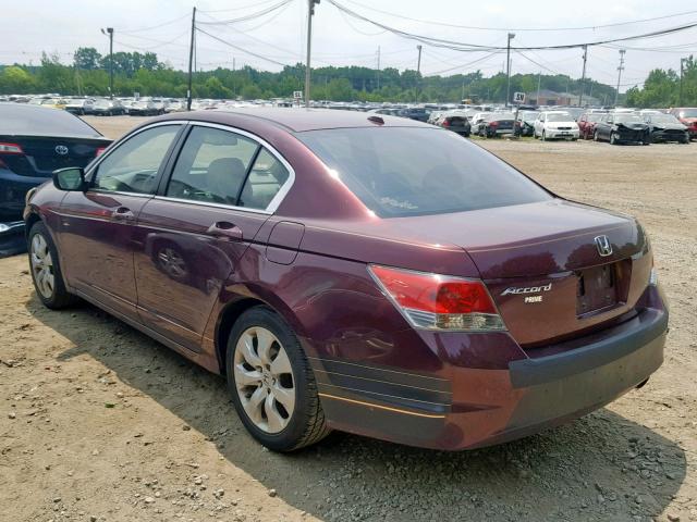 1HGCP2F86AA014922 - 2010 HONDA ACCORD EXL BURGUNDY photo 3