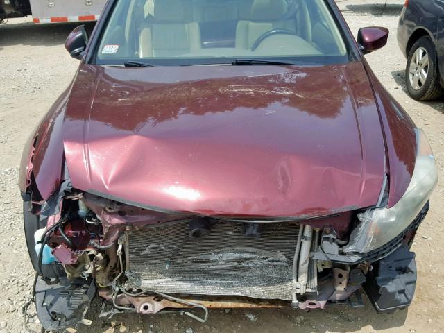 1HGCP2F86AA014922 - 2010 HONDA ACCORD EXL BURGUNDY photo 7