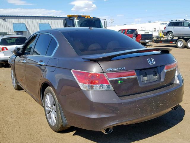 1HGCP3F88BA005159 - 2011 HONDA ACCORD EXL BROWN photo 3