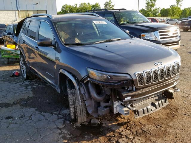 1C4PJMJX5KD249713 - 2019 JEEP CHEROKEE O GRAY photo 1