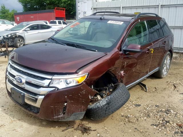 2FMDK4JC8CBA28042 - 2012 FORD EDGE SEL BURGUNDY photo 2