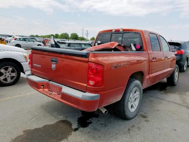 1D7HE68K98S537016 - 2008 DODGE DAKOTA SPO RED photo 4