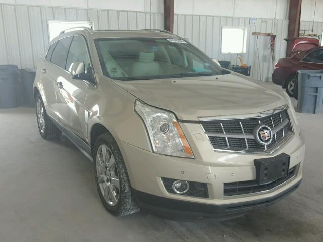 3GYFNBEY1AS545702 - 2010 CADILLAC SRX PERFOR TAN photo 1