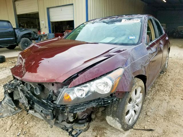 JHMCP26828C054281 - 2008 HONDA ACCORD EXL BURGUNDY photo 2