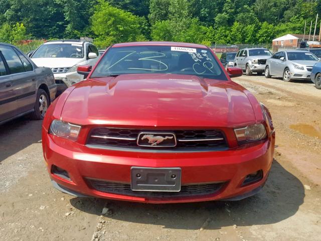 1ZVBP8AN5A5146845 - 2010 FORD MUSTANG RED photo 9