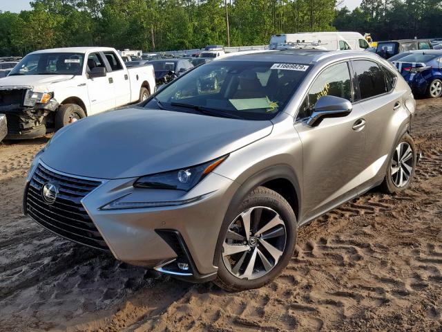 JTJYARBZ9K2147406 - 2019 LEXUS NX 300 SILVER photo 2