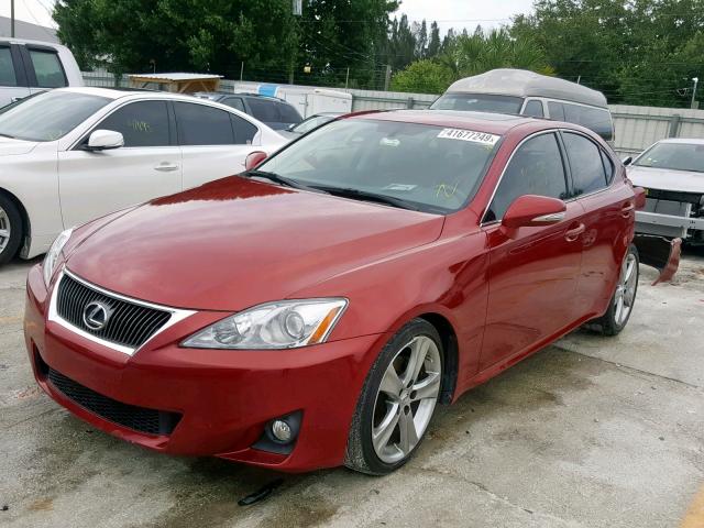 JTHBF5C21B5149295 - 2011 LEXUS IS 250 RED photo 2