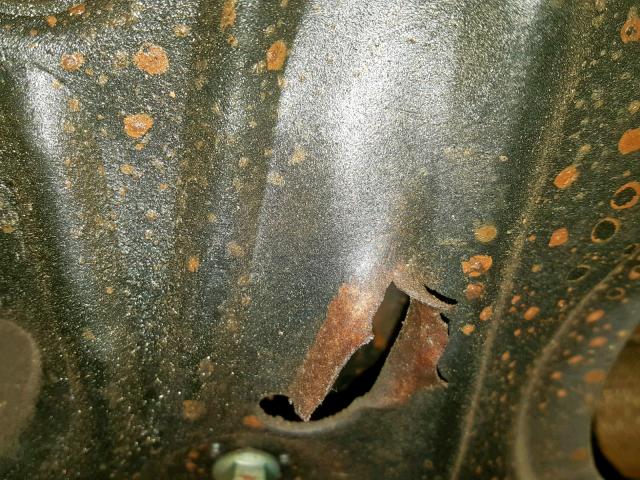 3VWRF31YX7M401152 - 2007 VOLKSWAGEN NEW BEETLE Կանաչ լուսանկար 9