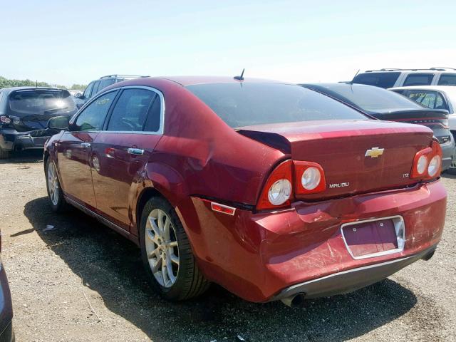 1G1ZK57758F266066 - 2008 CHEVROLET MALIBU LTZ 红色 照片 3