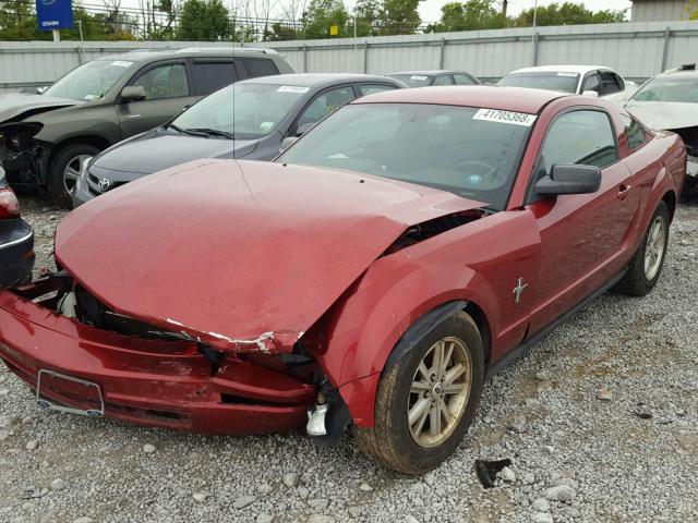 1ZVFT80N365235898 - 2006 FORD MUSTANG MAROON photo 2