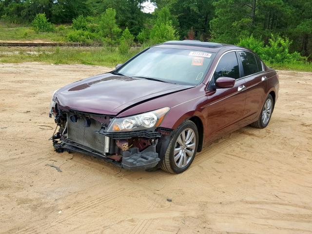 1HGCP3F8XCA014561 - 2012 HONDA ACCORD EXL MAROON photo 2