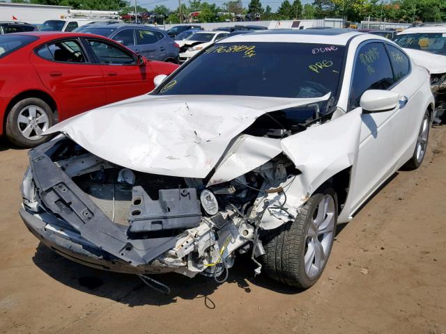 1HGCS2B82BA003809 - 2011 HONDA ACCORD EXL WHITE photo 2