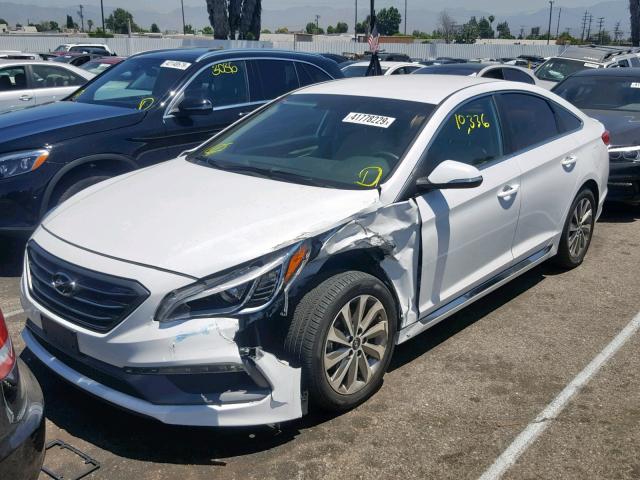 5NPE34AF6GH353038 - 2016 HYUNDAI SONATA SPO WHITE photo 2