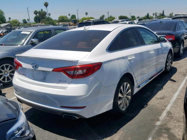 5NPE34AF6GH353038 - 2016 HYUNDAI SONATA SPO WHITE photo 4