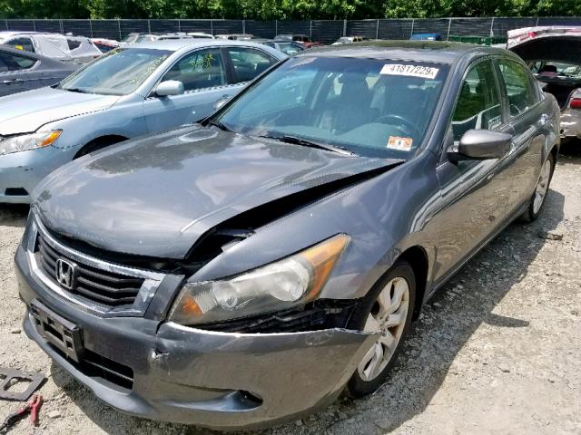 5KBCP36859B501523 - 2009 HONDA ACCORD EXL BLACK photo 2