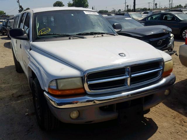 1B7HL48N32S661613 - 2002 DODGE DAKOTA QUA WHITE photo 1