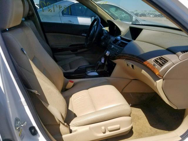 5KBCP3F85AB003634 - 2010 HONDA ACCORD EXL WHITE photo 5