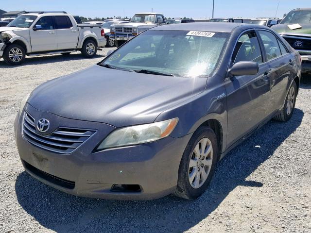 4T1BB46K98U045747 - 2008 TOYOTA CAMRY HYBR GRAY photo 2