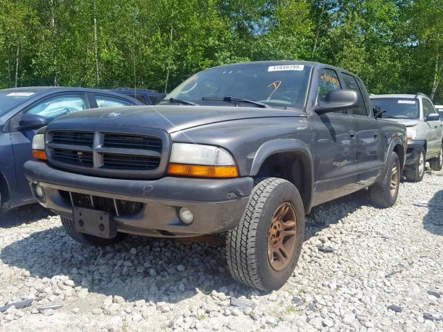 1D7HG38NX3S168565 - 2003 DODGE DAKOTA QUA GRAY photo 2