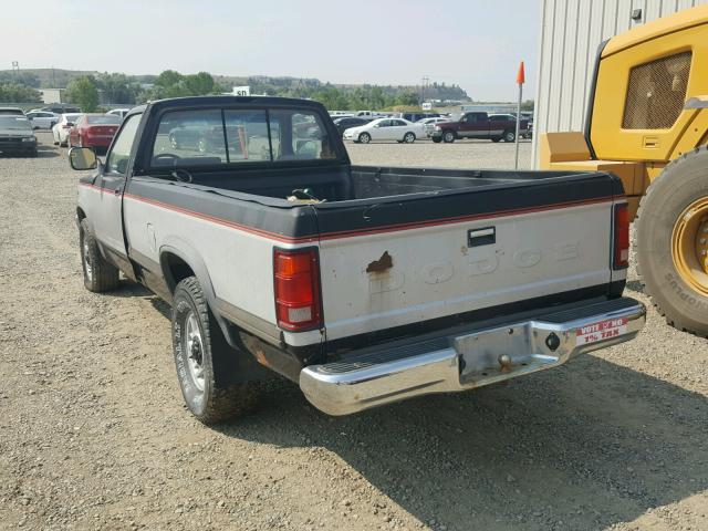 1B7GG26X1MS333666 - 1991 DODGE DAKOTA TWO TONE photo 3