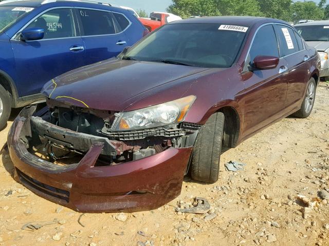 1HGCP3F87BA020865 - 2011 HONDA ACCORD EXL RED photo 2