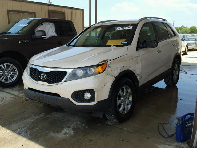 5XYKT3A13BG154384 - 2011 KIA SORENTO BA WHITE photo 2