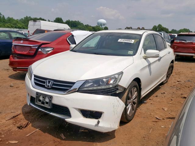 1HGCR3F82EA015507 - 2014 HONDA ACCORD EXL WHITE photo 2