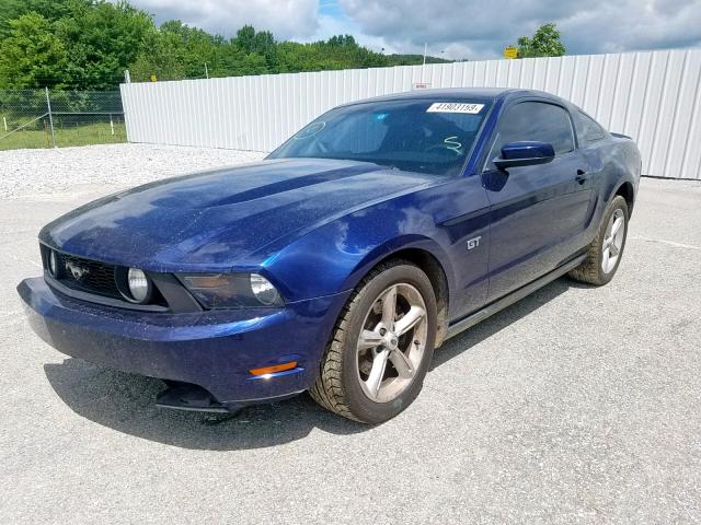 1ZVBP8CH3A5117724 - 2010 FORD MUSTANG GT BLUE photo 2