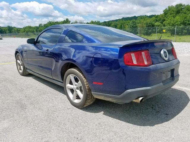 1ZVBP8CH3A5117724 - 2010 FORD MUSTANG GT BLUE photo 3
