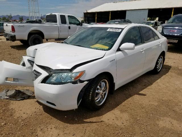 4T1BB46K29U104204 - 2009 TOYOTA CAMRY HYBR WHITE photo 2