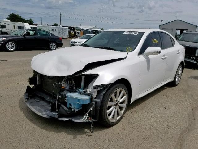 JTHCK262X95033341 - 2009 LEXUS IS 250 WHITE photo 2