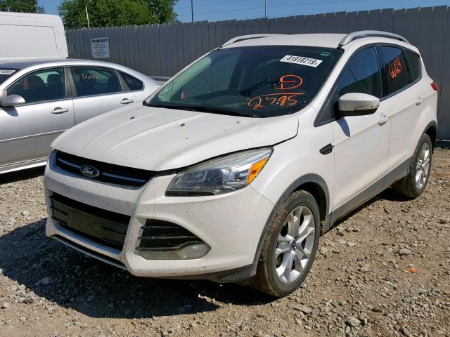 1FMCU0JX8EUC92795 - 2014 FORD ESCAPE TIT WHITE photo 2