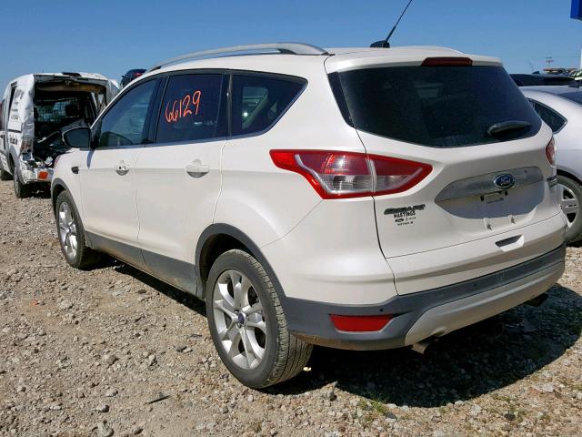 1FMCU0JX8EUC92795 - 2014 FORD ESCAPE TIT WHITE photo 3